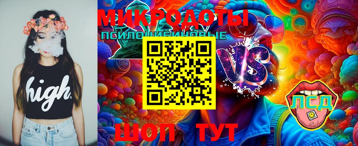 Псилоцибиновые грибы MAGIC MUSHROOMS  Галлюциногенные грибы Psilocybine cubensis  Юрга  Вход с VPN 